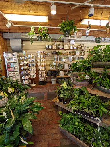 Garden Center «Riverside Nursery Garden Center & Florist», reviews and photos, 56 River Rd, Collinsville, CT 06019, USA