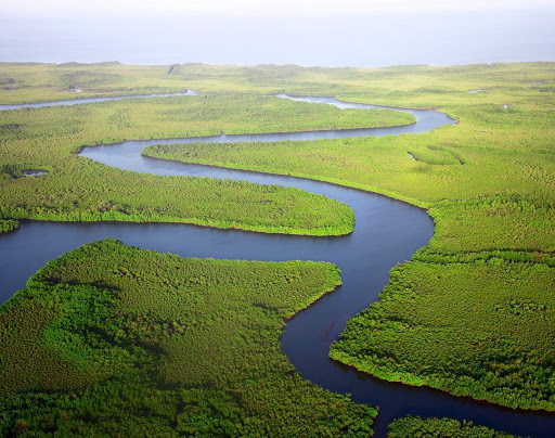 Amusement Park «Everglades Safari Park», reviews and photos, 26700 SW 8th St, Miami, FL 33194, USA