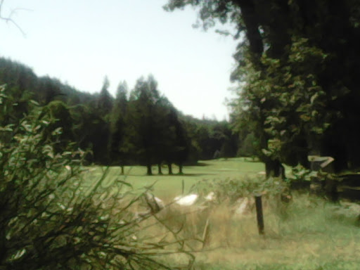 Golf Course «Black Rock Golf Course», reviews and photos, 16451 Golf Rd, Cobb, CA 95426, USA