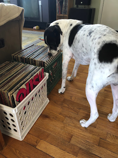 Record Store «Ignition Music Garage», reviews and photos, 120 E Washington St, Goshen, IN 46528, USA