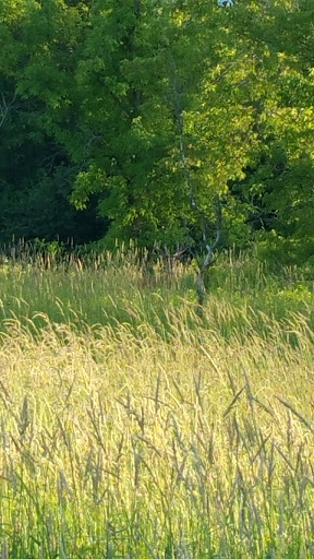 Park «Elm Creek Park Reserve», reviews and photos, 12400 James Deane Pkwy, Maple Grove, MN 55369, USA