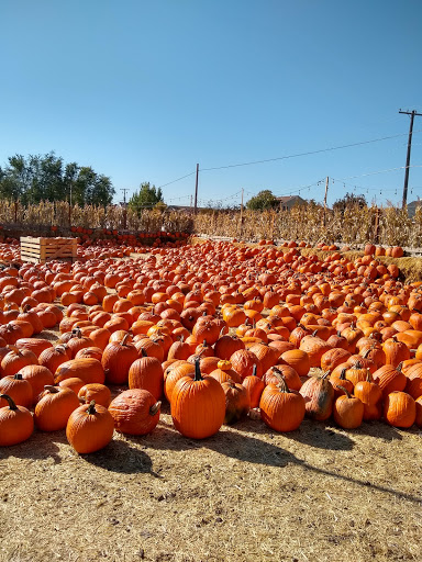 Produce Market «Kuwahara Farms», reviews and photos, 736 12300 S, Draper, UT 84020, USA