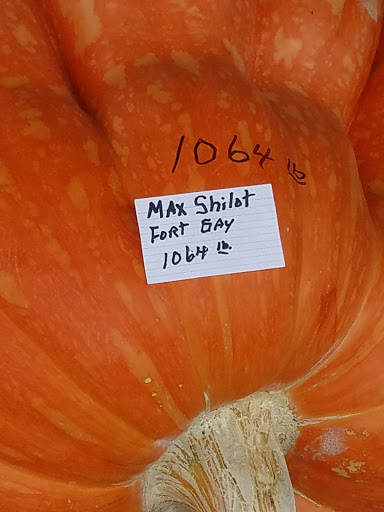 Performing Arts Theater «Milton Performing Arts Center», reviews and photos, 1 Pumpkin Way, Milton, WV 25541, USA