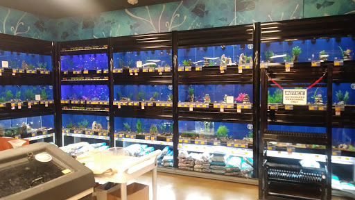 Pet Supply Store «PetSmart», reviews and photos, 2730 Pacific Coast Hwy, Torrance, CA 90505, USA