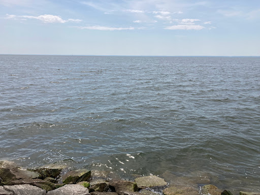 Boat Tour Agency «Patriot Cruises», reviews and photos, 213 N Talbot St, St Michaels, MD 21663, USA