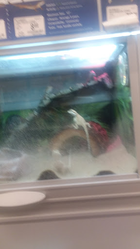 Pet Store «PetSmart», reviews and photos, 14903 4th Ave SW Ste 200, Burien, WA 98166, USA