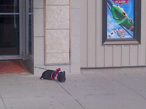 Movie Theater «Capitol II Theatre», reviews and photos, 116 1st St N, Newton, IA 50208, USA