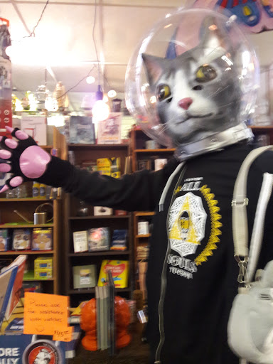 Toy Store «Yikes Toys», reviews and photos, 2930 E Broadway Blvd, Tucson, AZ 85716, USA