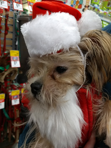 Pet Supply Store «PetSmart», reviews and photos, 4142 Commonwealth Ave, Eau Claire, WI 54701, USA