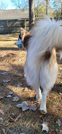 Melly's Clip-N-Dip - Photo 9 - Car repair in Denham Springs, LA, Baton Rouge