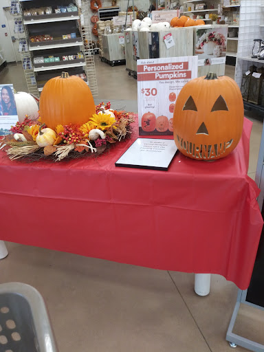 Craft Store «Michaels», reviews and photos, 630 US-441, Lady Lake, FL 32159, USA