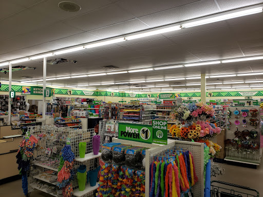 Dollar Store «Dollar Tree», reviews and photos, 2100 US Hwy 641 N, Camden, TN 38320, USA