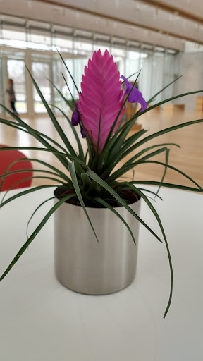 Art Museum «Kimbell Art Museum», reviews and photos, 3333 Camp Bowie Blvd, Fort Worth, TX 76107, USA