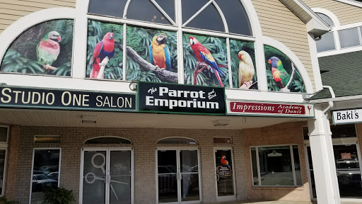 Bird Shop «Parrot & Bird Emporium Inc», reviews and photos, 360 N Westfield St, Feeding Hills, MA 01030, USA