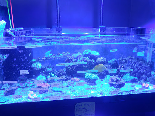 Pet Store «Exotics & Aquatics», reviews and photos, 5423 Williamson Rd, Roanoke, VA 24012, USA