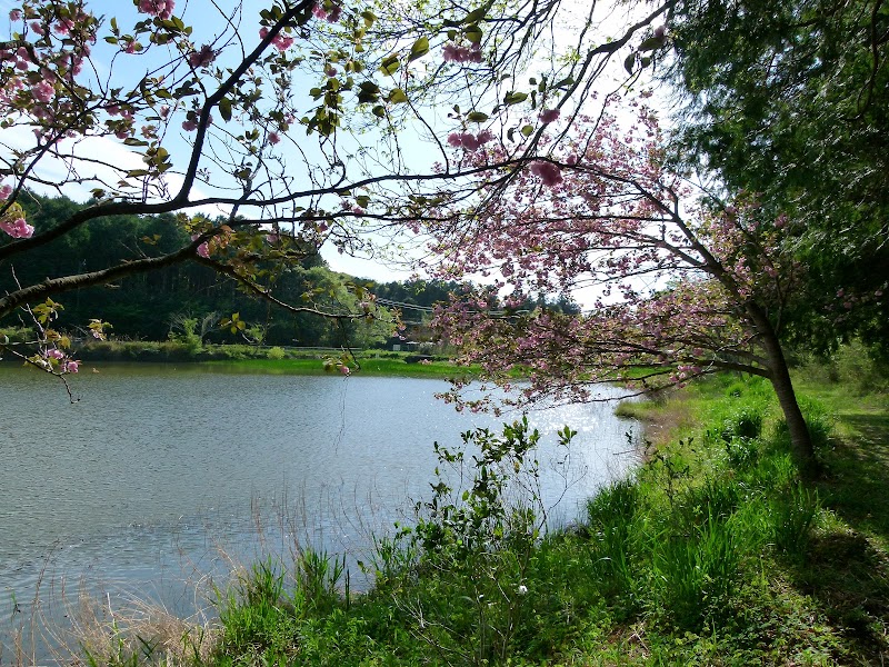 栃ヶ池湿地植物群落