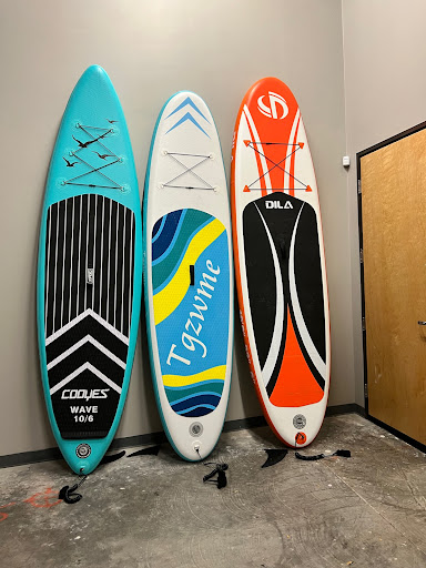 Summer Shark Paddle Board Rentals
