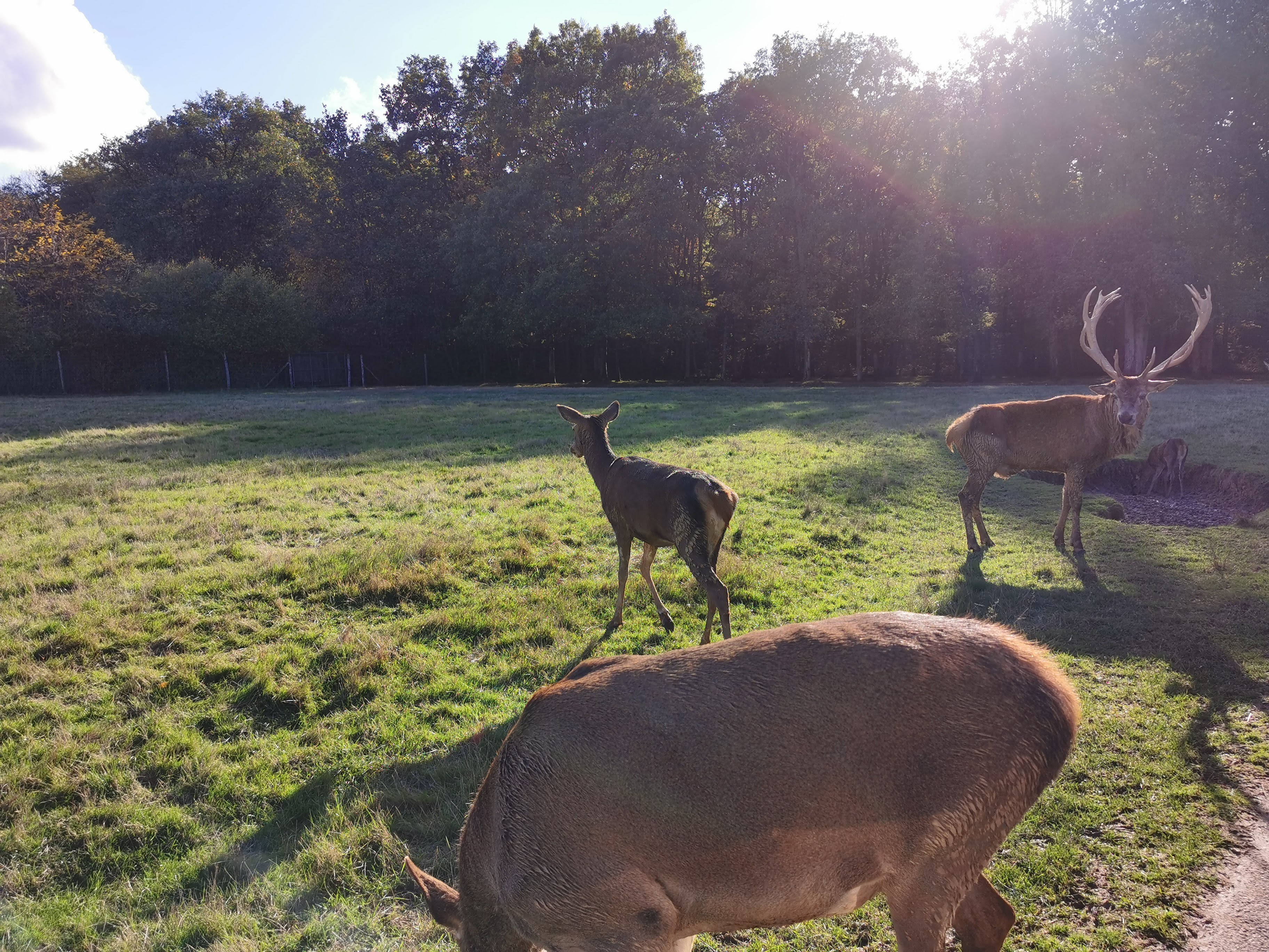 Photo n° 4 de l'avis de JAX.A fait le 27/10/2020 à 18:26