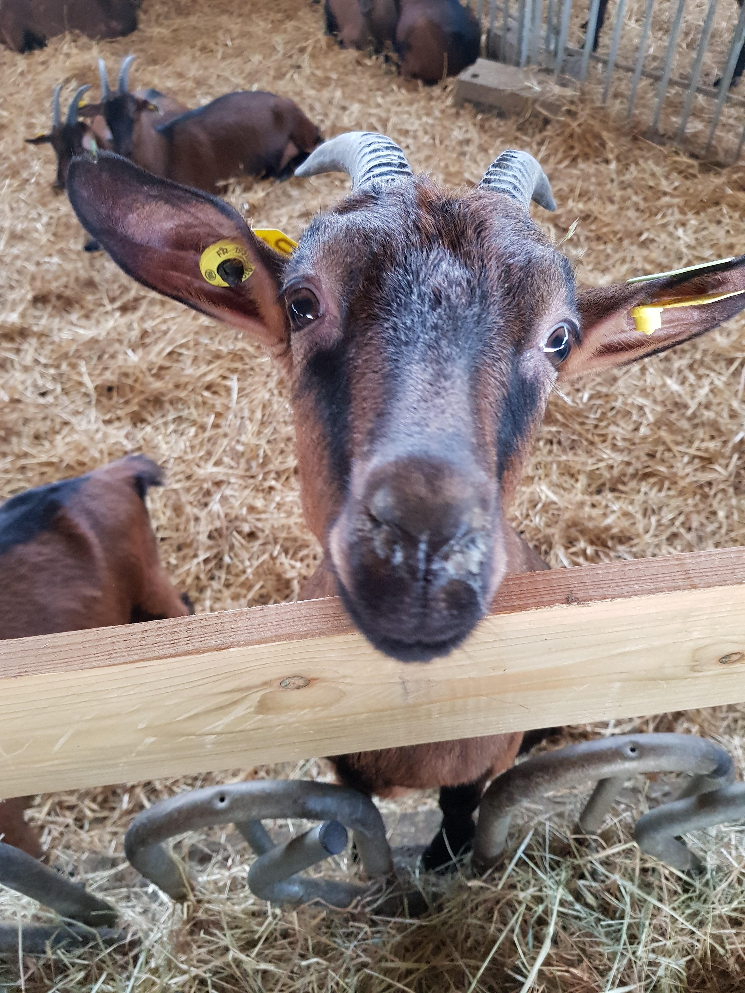 Photo n° 2 de l'avis de thibaut.t fait le 09/12/2020 à 13:51