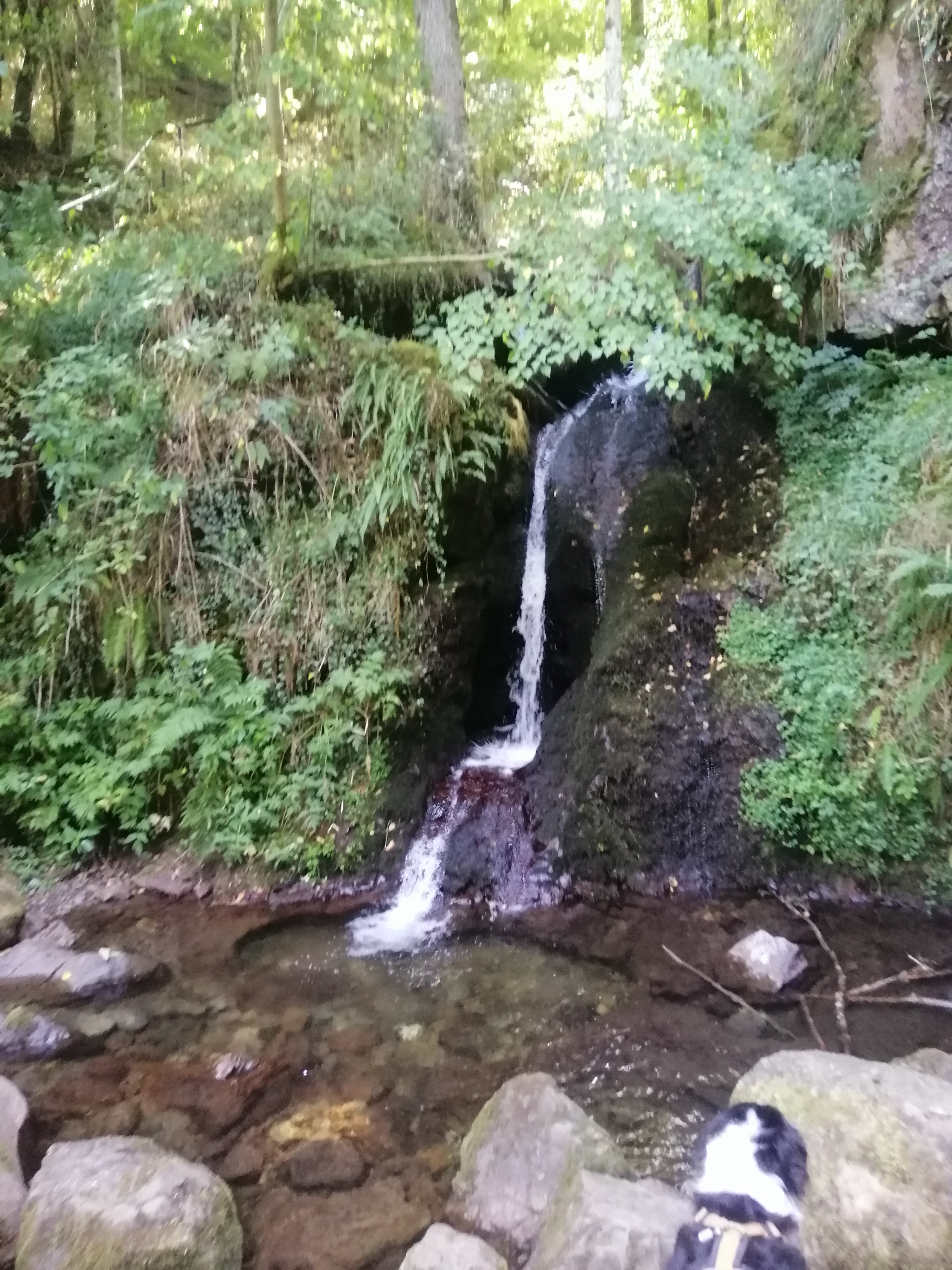 Photo n° 1 de l'avis de Markus.h fait le 28/07/2022 à 14:31