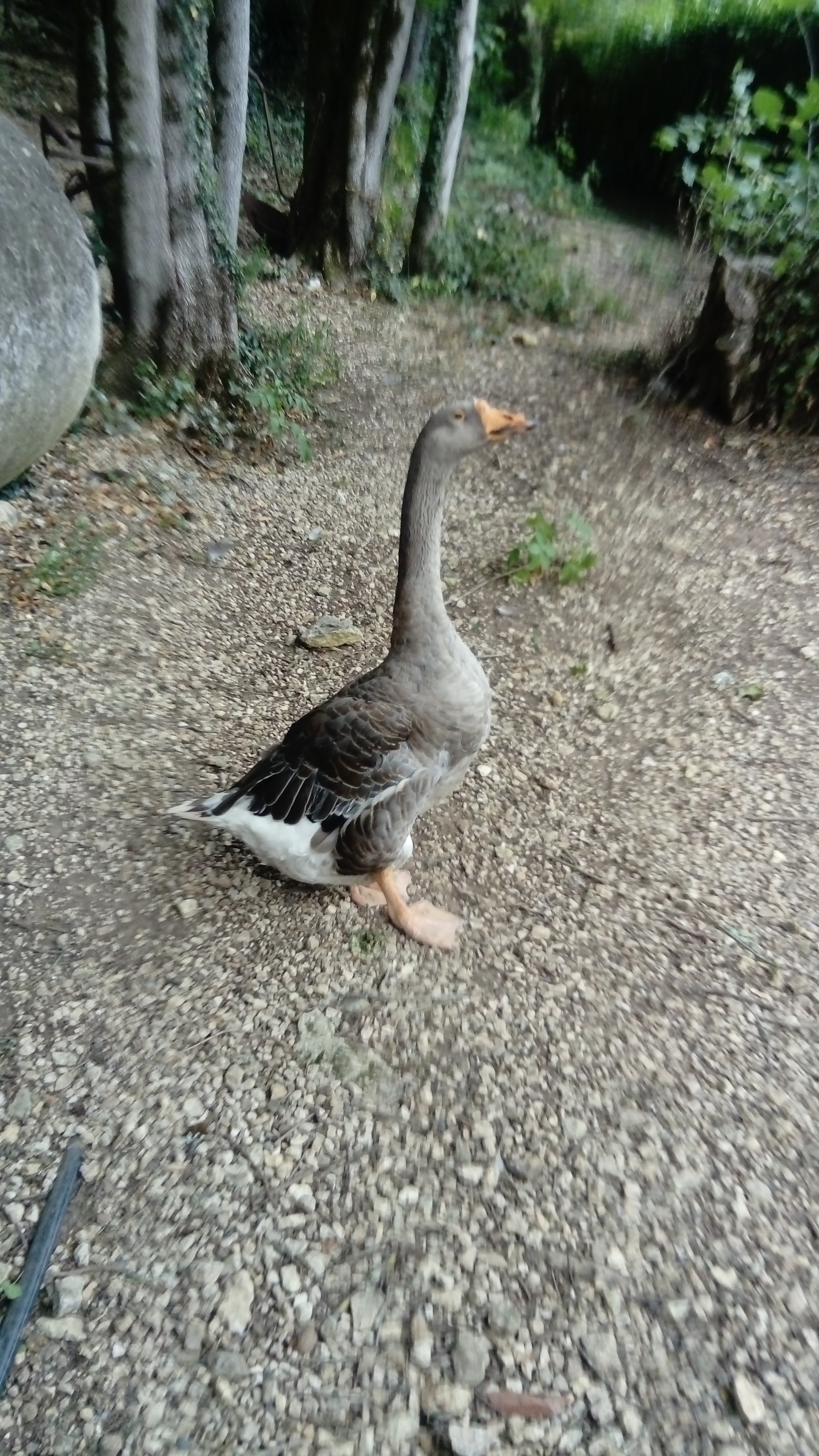 Photo n° 4 de l'avis de Isabelle.o fait le 28/07/2020 à 20:34