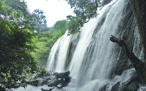 Marottichal Waterfalls & Forest wildlife Sanctuary image