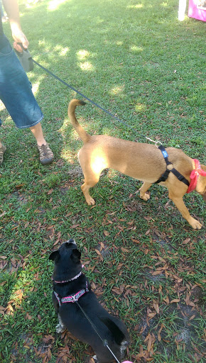 Park «Friendship Park», reviews and photos, 200 W Broadway St, Oviedo, FL 32765, USA