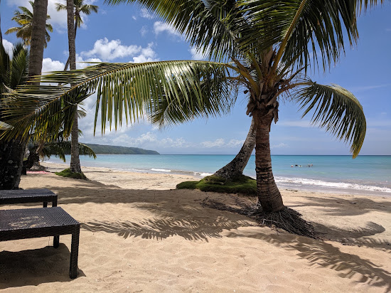 Sublime Las Terrenas Plajı