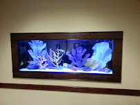 Aquatic Creations Group Inc - Photo 5 - Car repair in Raleigh, NC, Raleigh