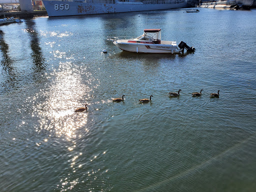 Historical Place «USS Massachusetts BB59», reviews and photos, 5 Water St, Fall River, MA 02721, USA