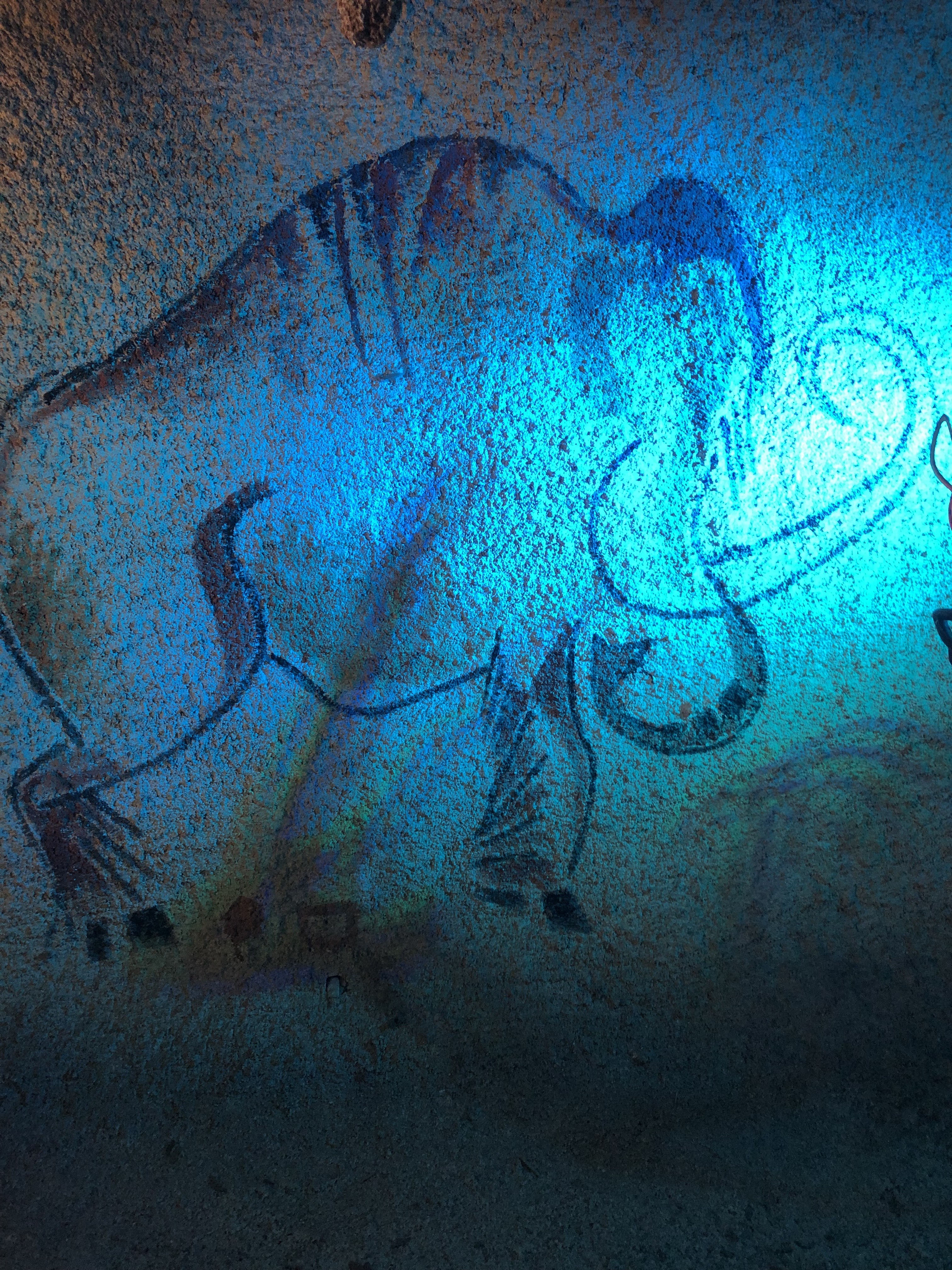 Photo n° 1 de l'avis de sarah.z fait le 28/07/2023 à 07:23