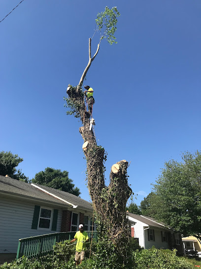 A+ Tree Service