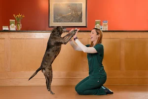 West Concord Animal Clinic image
