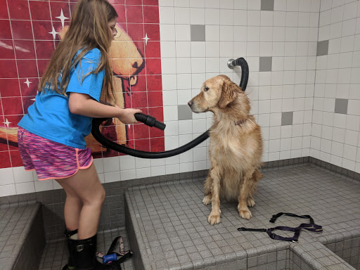 Pet Supply Store «Pet Food Express», reviews and photos, 372 Woodside Rd, Redwood City, CA 94061, USA