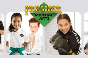 Premier Martial Arts Asheville, NC image