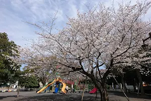 Chihaya Flower Park image