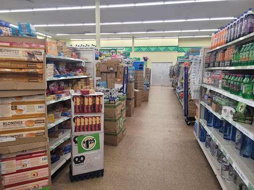 Dollar Store «Dollar Tree», reviews and photos, 1442 FL-436 #1052, Casselberry, FL 32707, USA