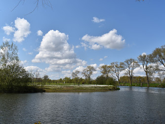 Hoge Bomen - Oude Leie