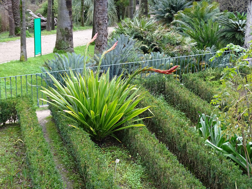Botanical Garden of Lisbon