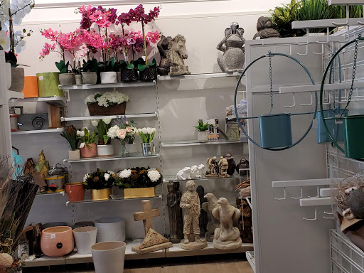 Department Store «HomeGoods», reviews and photos, 8700 Preston Rd #111, Plano, TX 75024, USA