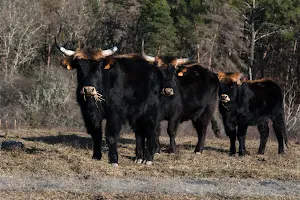 Parc Animalier des Gorges de l'Ardèche image