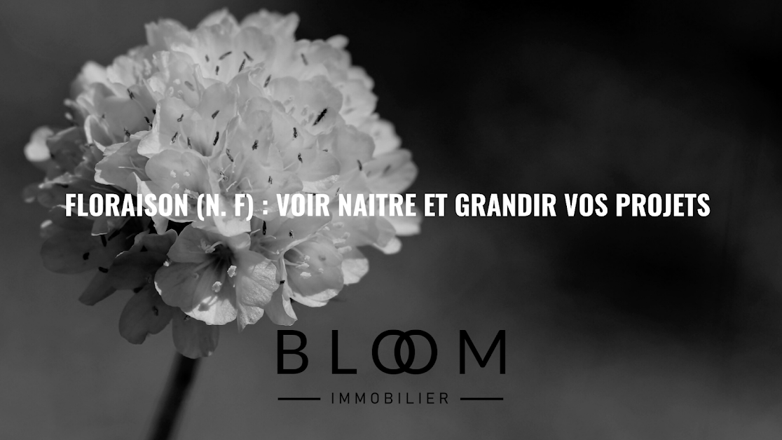 BLOOM Immobilier à Orléans (Loiret 45)