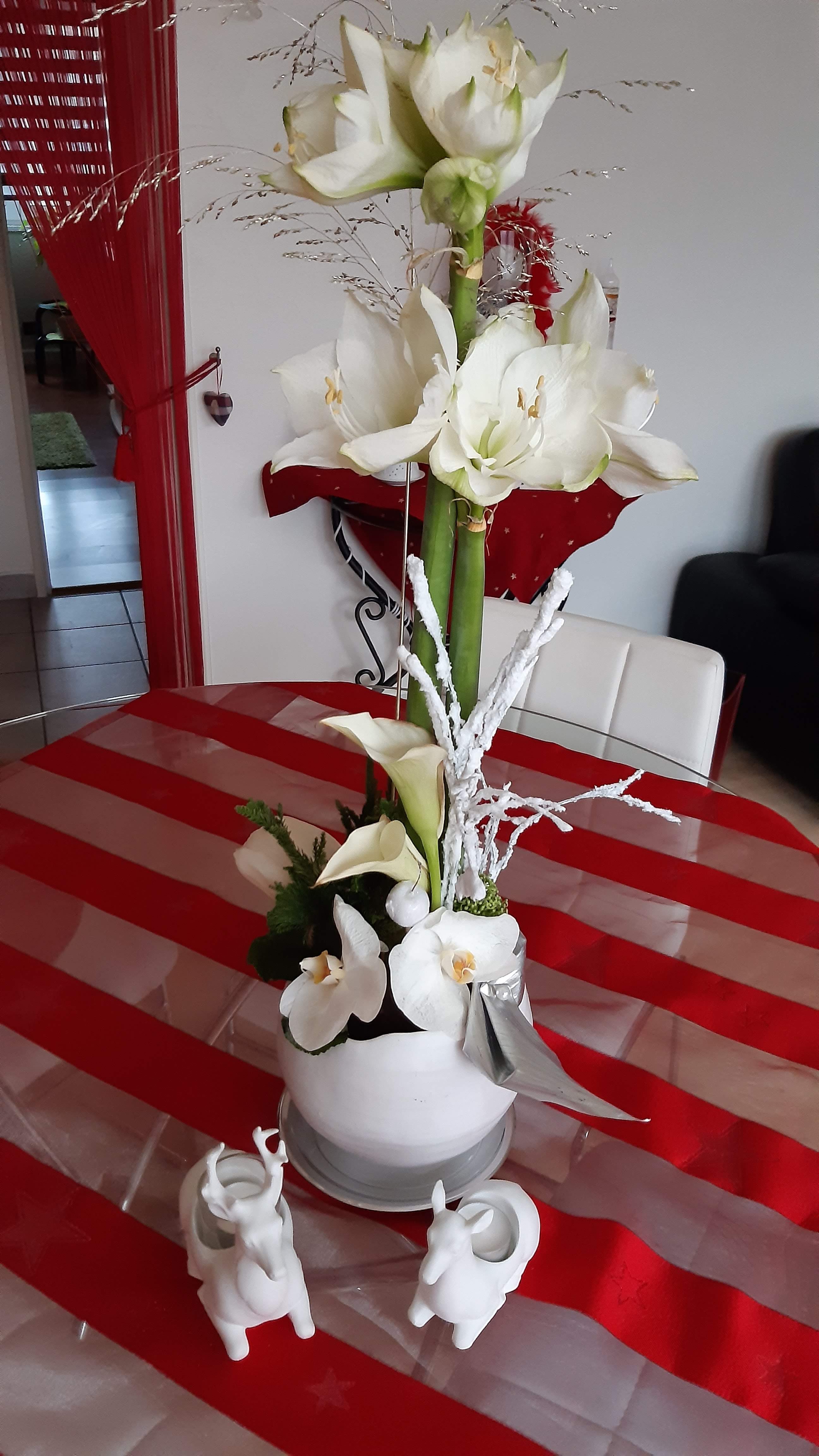 Photo n° 5 de l'avis de Yvette.c fait le 15/04/2019 à 09:15