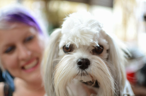 Bicycle Store «Espada Bicycles», reviews and photos, 3448 N Davidson St, Charlotte, NC 28205, USA