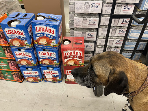 Hardware Store «Antioch Ace Hardware», reviews and photos, 501 Sunset Dr, Antioch, CA 94509, USA