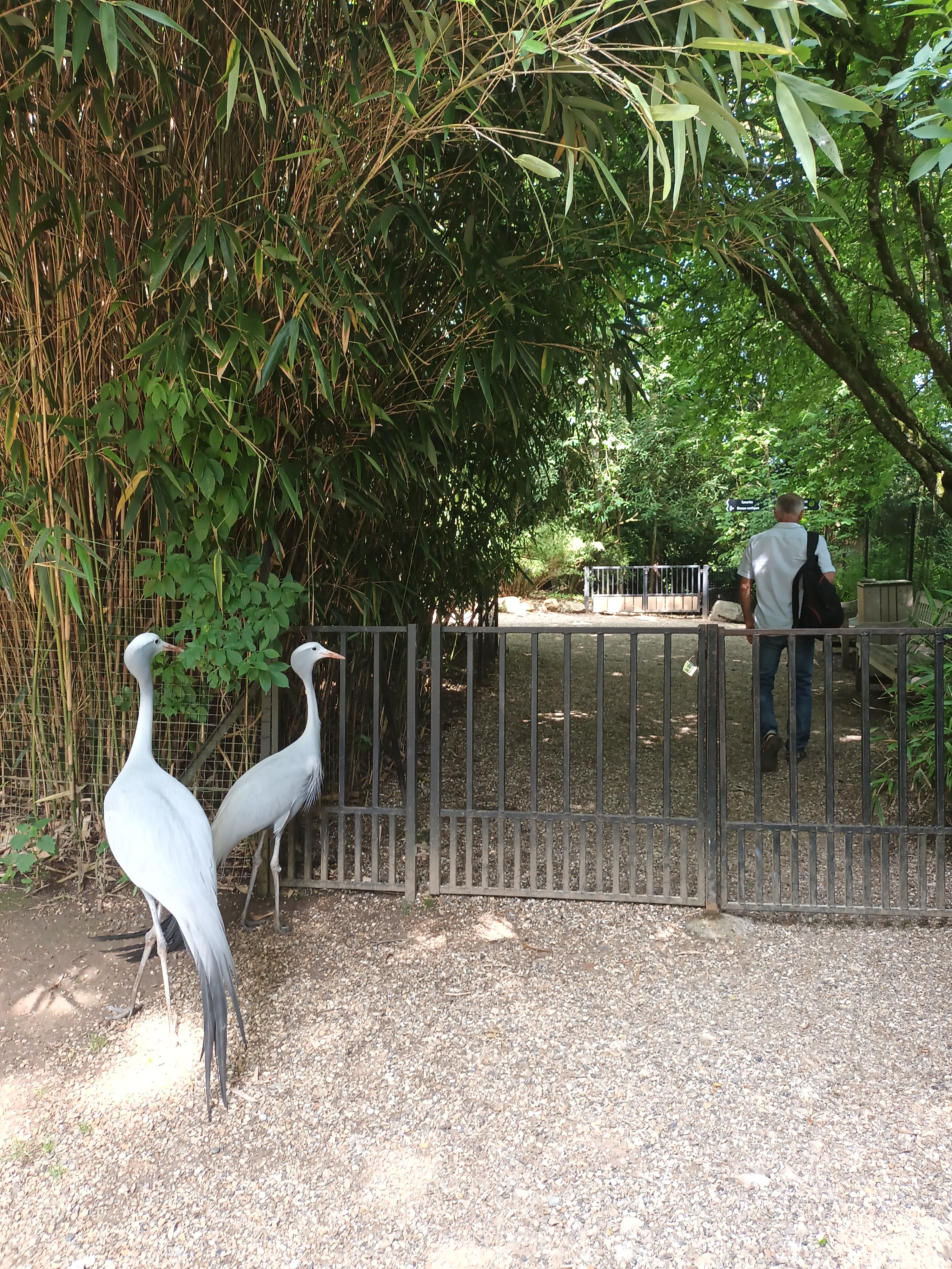 Photo n° 5 de l'avis de daniel.a fait le 28/06/2023 à 18:17