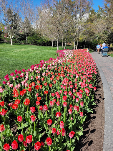 Botanical Garden «Ashton Gardens at Thanksgiving Point», reviews and photos, 3900 Garden Dr, Lehi, UT 84043, USA