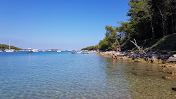 Photo de Uvala Portic avec petite baie