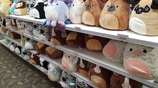 Toy Store «Learning Express», reviews and photos, 2465 W Stadium Blvd, Ann Arbor, MI 48103, USA