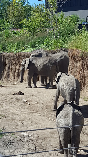 Foundation «The Henry Doorly Zoo», reviews and photos, 3701 S 10th St, Omaha, NE 68107, USA